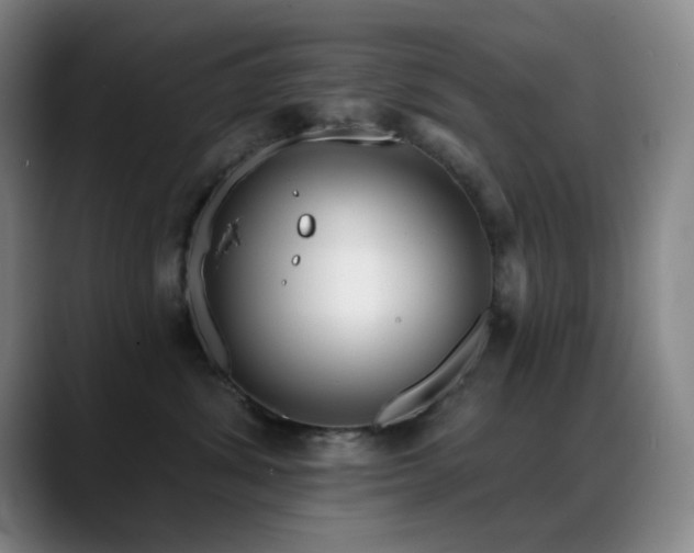 X0000089440428200706151417