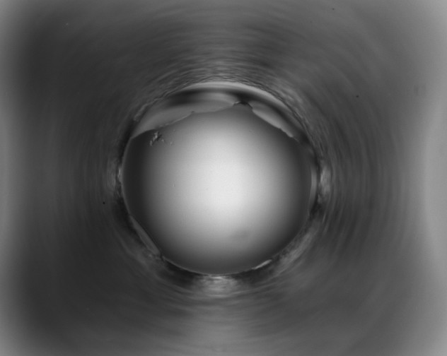 X0000089440429200706151417