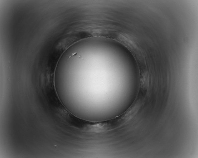 X0000089440430200706151417