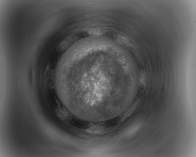 X0000089440431200706151417