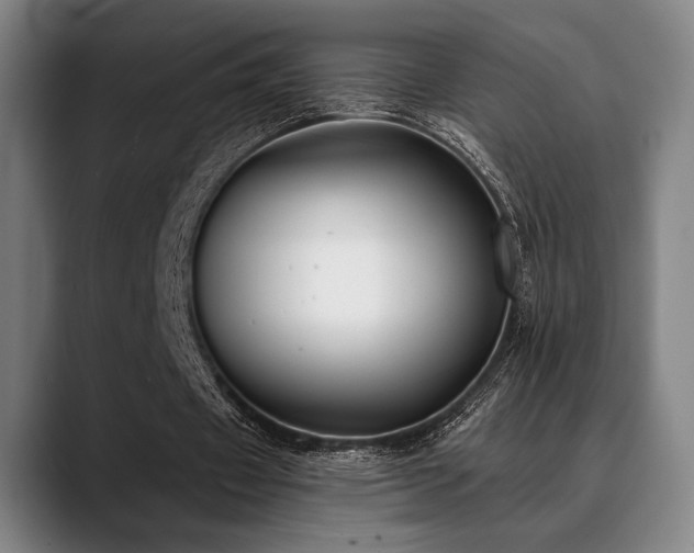 X0000089440433200706151416