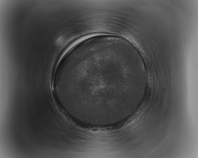 X0000089440434200706151416