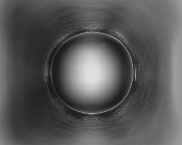 X0000089440435200706151416