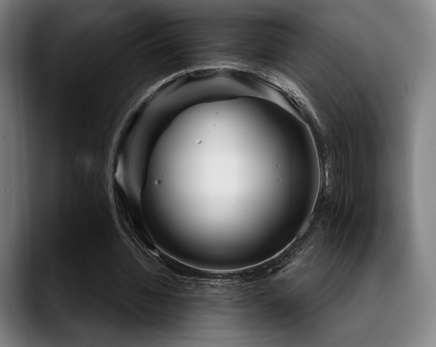 X0000089440436200706151416