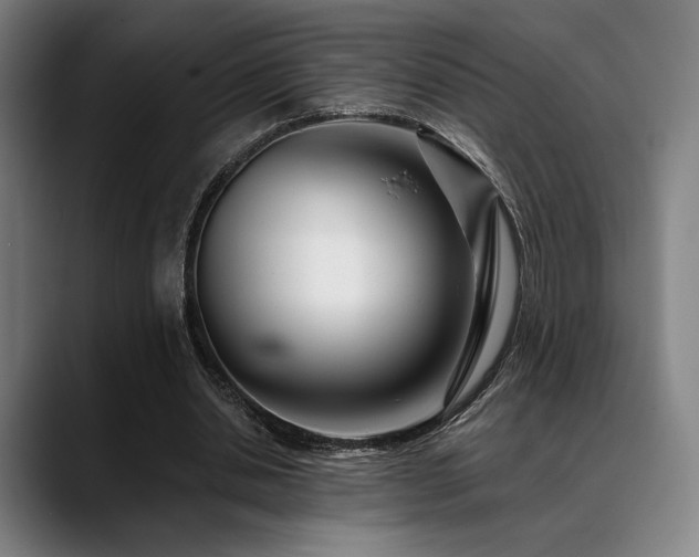 X0000089440438200706151416