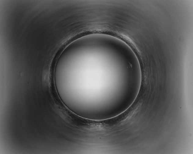 X0000089440439200706151416