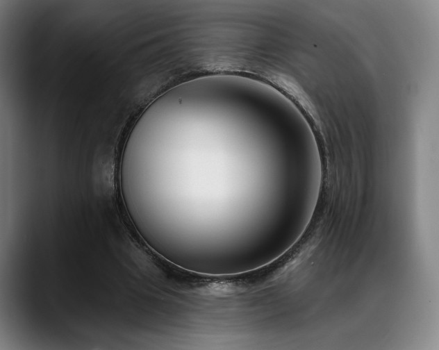 X0000089440441200706151416