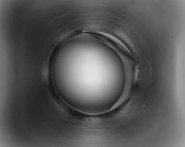 X0000089440444200706151416