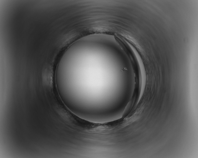 X0000089440446200706151416