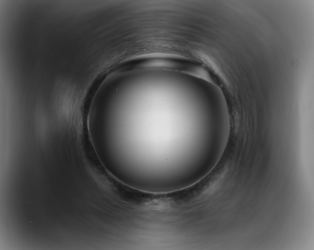 X0000089440447200706151416