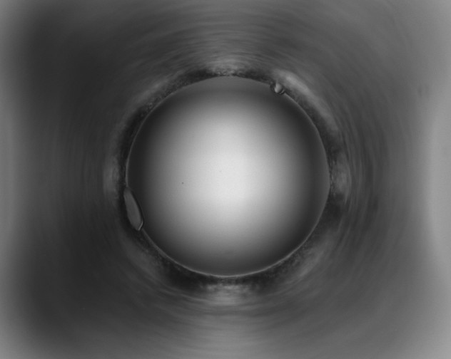 X0000089440448200706151416