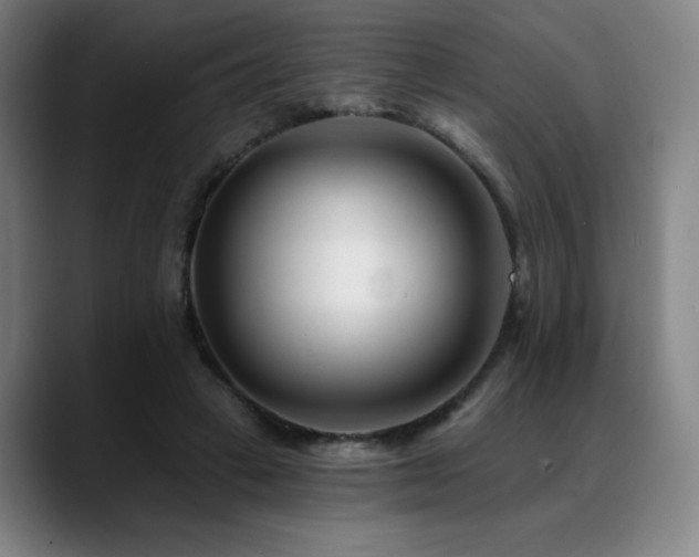 X0000089440449200706151416