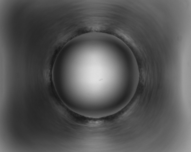 X0000089440450200706151416