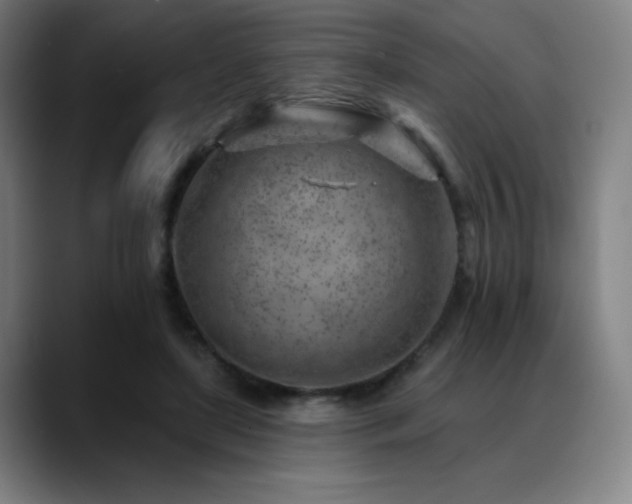 X0000089440451200706151416