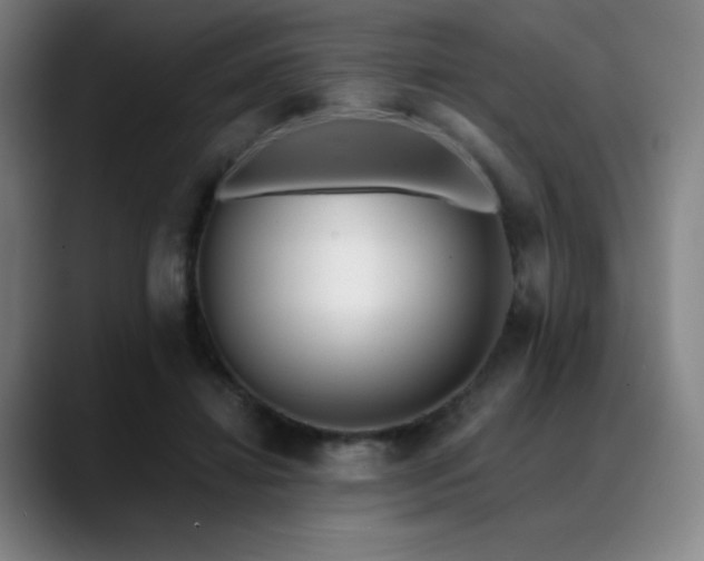 X0000089440452200706151416
