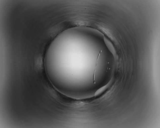 X0000089440453200706151416