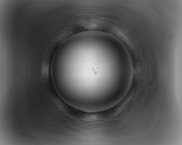 X0000089440454200706151416