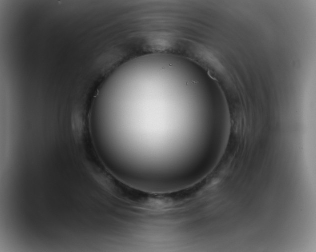 X0000089440455200706151416