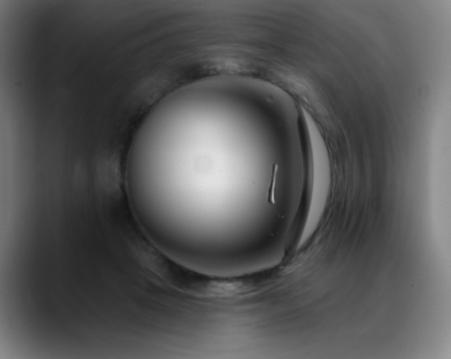 X0000089440457200706151417
