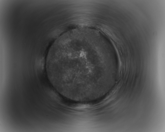 X0000089440458200706151417