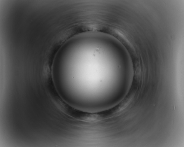 X0000089440459200706151417