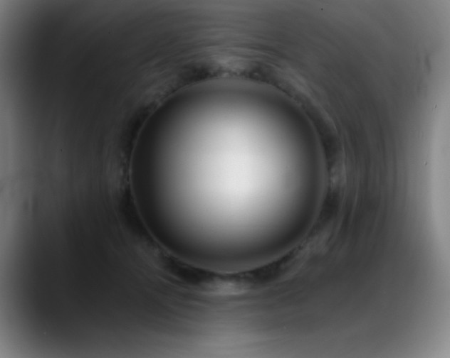 X0000089440464200706151417