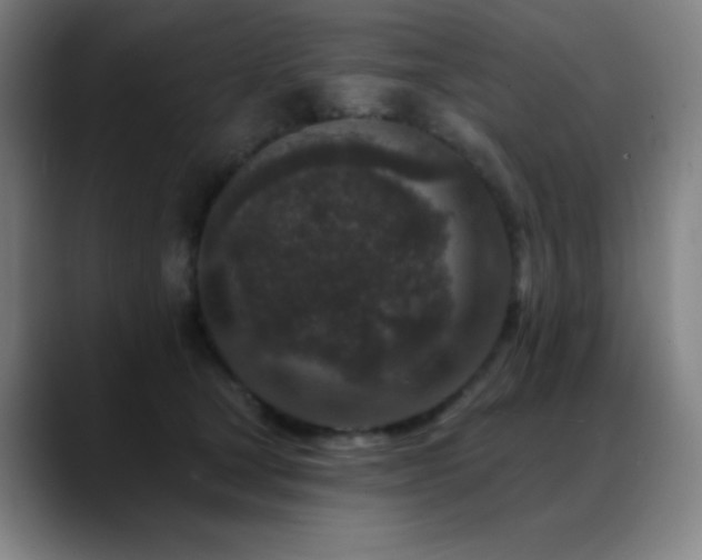 X0000089440465200706151417