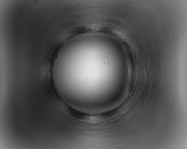 X0000089440466200706151417