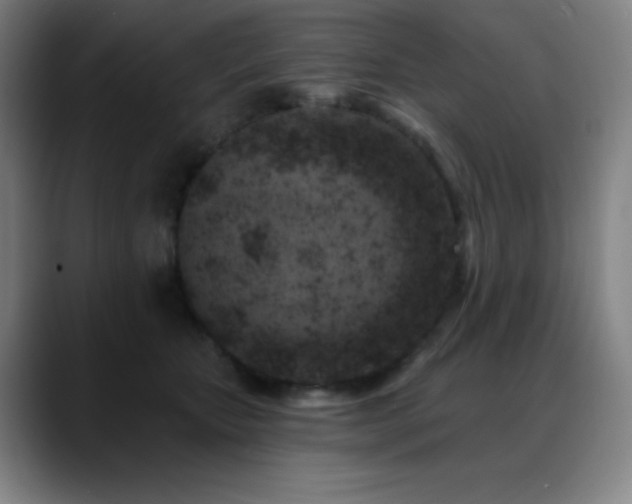 X0000089440467200706151417