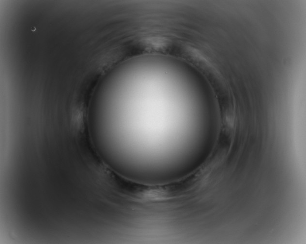 X0000089440468200706151417