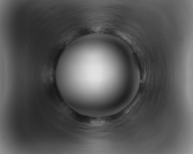 X0000089440470200706151417