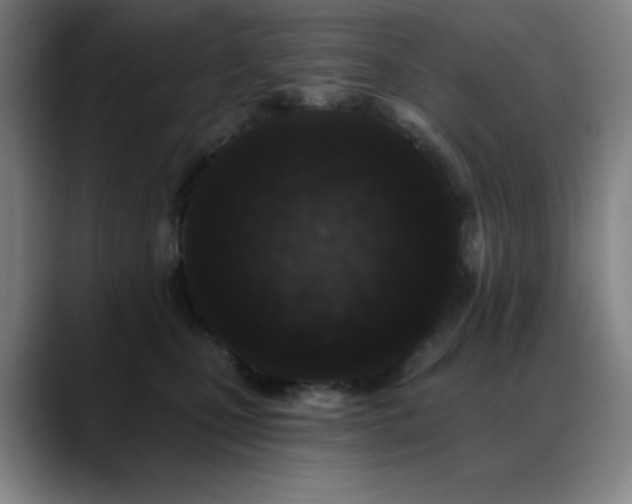 X0000089440471200706151417