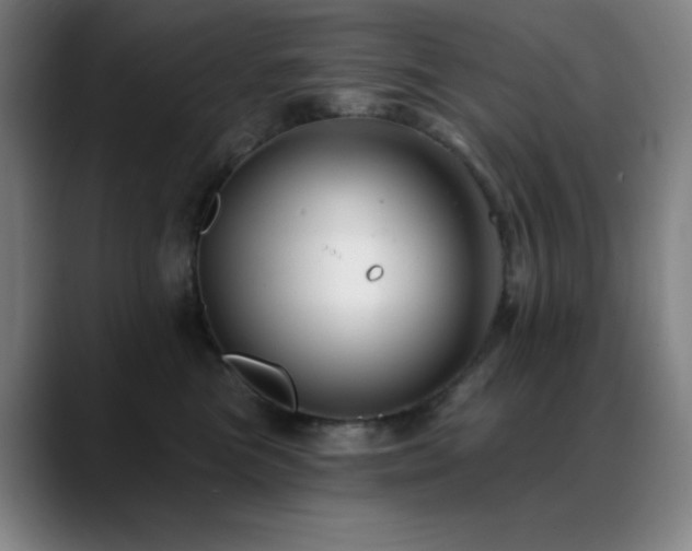 X0000089440473200706151417