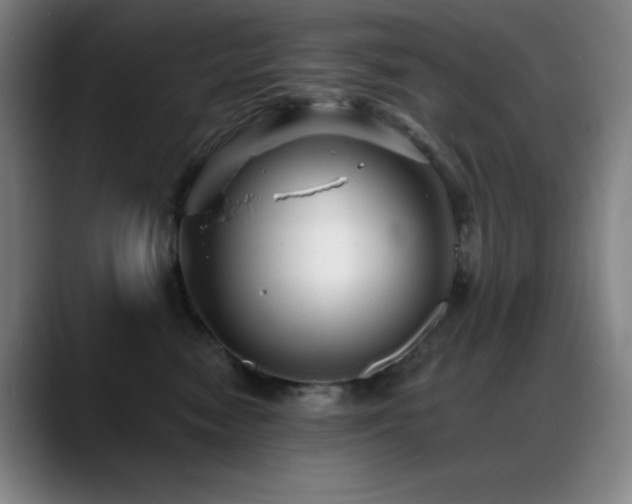X0000089440474200706151417