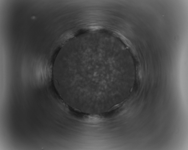 X0000089440475200706151417
