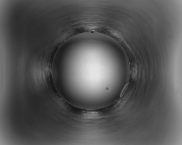 X0000089440476200706151417