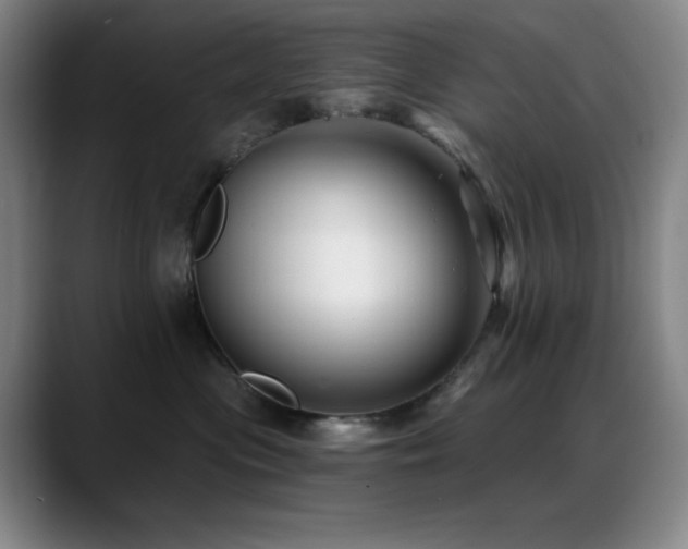 X0000089440477200706151417