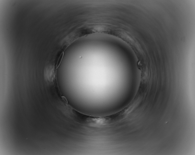 X0000089440478200706151417