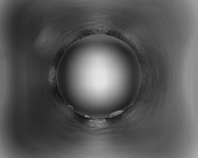 X0000089440480200706151417