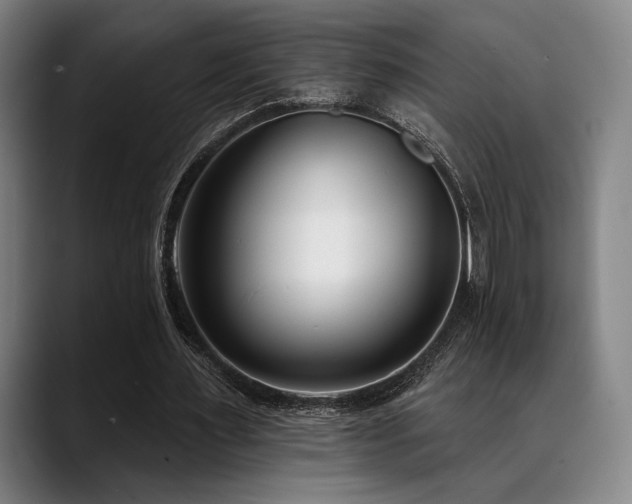 X0000089440483200706151416