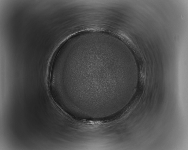 X0000089440484200706151416