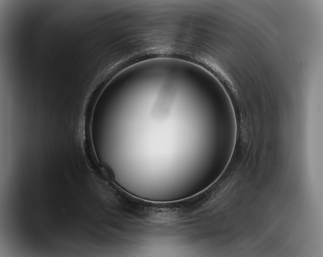 X0000089440486200706151416