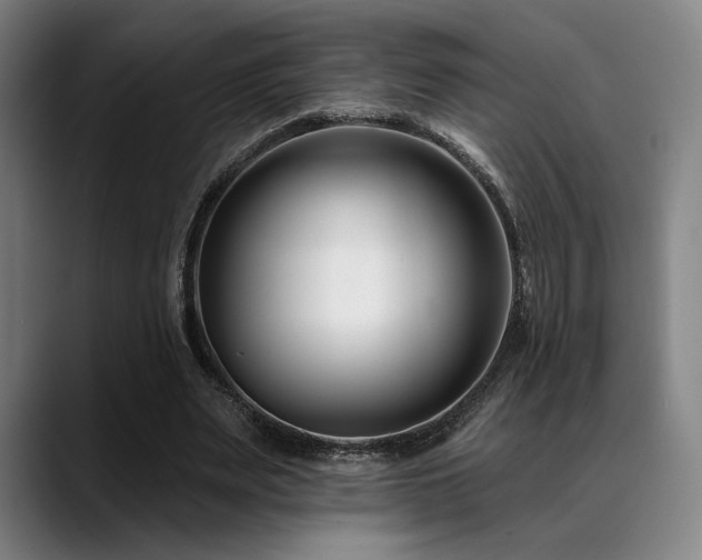 X0000089440487200706151416