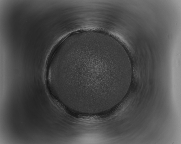 X0000089440488200706151416