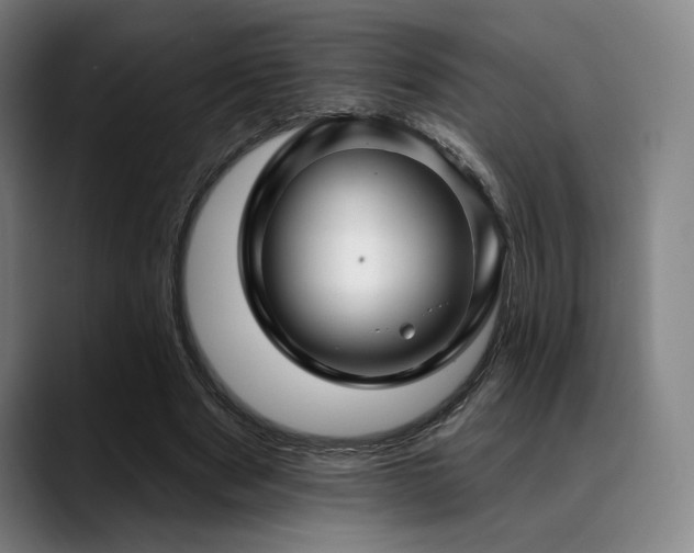 X0000089440489200706151416