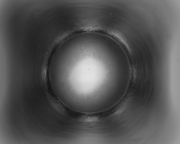 X0000089440491200706151416