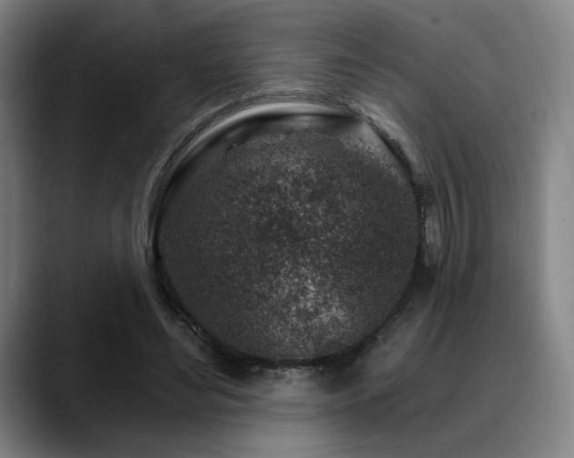 X0000089440492200706151416