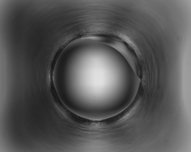 X0000089440493200706151416