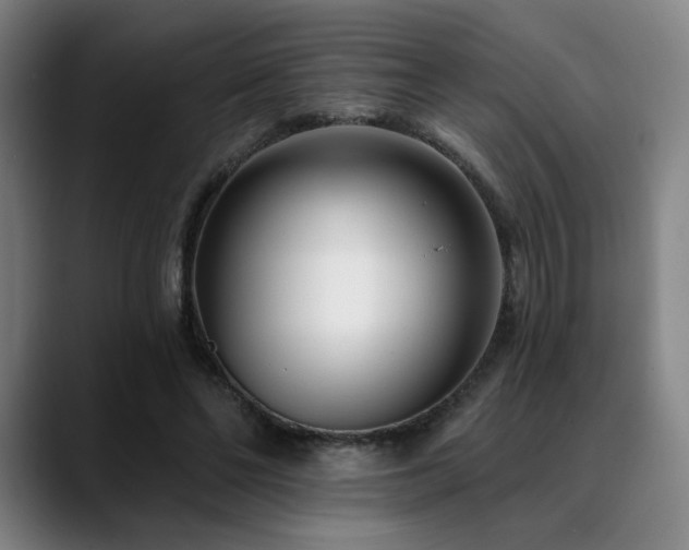 X0000089440494200706151416