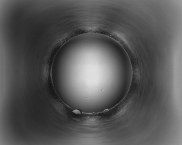 X0000089440495200706151416